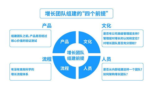 數(shù)據(jù)增長小組 互聯(lián)網(wǎng)企業(yè)的數(shù)據(jù)服務(wù)引擎與增長動(dòng)力